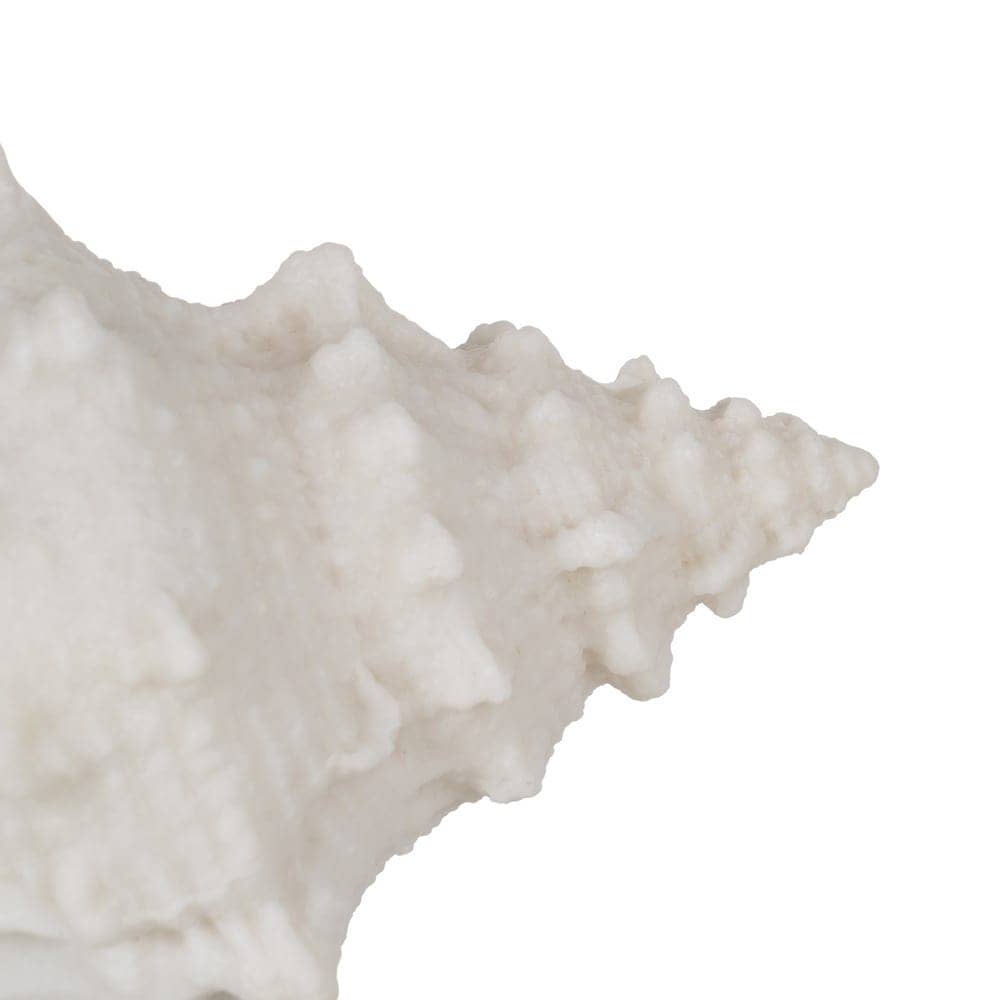 Pack de 2 Lámparas de Mesa Concha de Arenisca LED - Decoración Elegante 11 cm, Batería de 70 Horas (3 x AAA No Incluidas) - Imagen 3