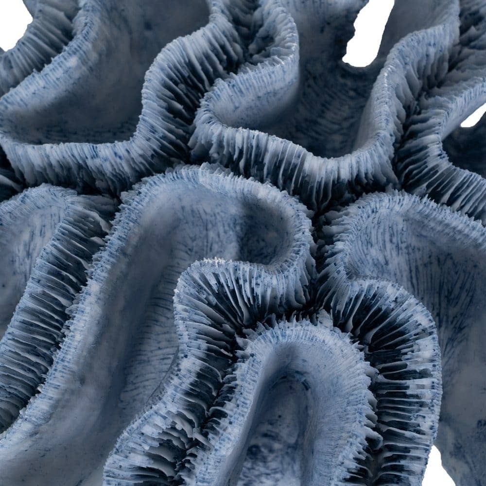 Figura Coral Azul de Resina - Decoración 28x28x10 cm - Imagen 5