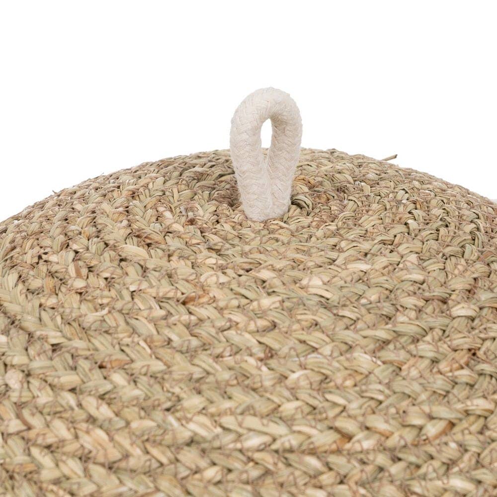 Cubre Alimentos de Fibra Natural de 26 cm para Cocina - Protector Ecológico de Seagrass - Imagen 4