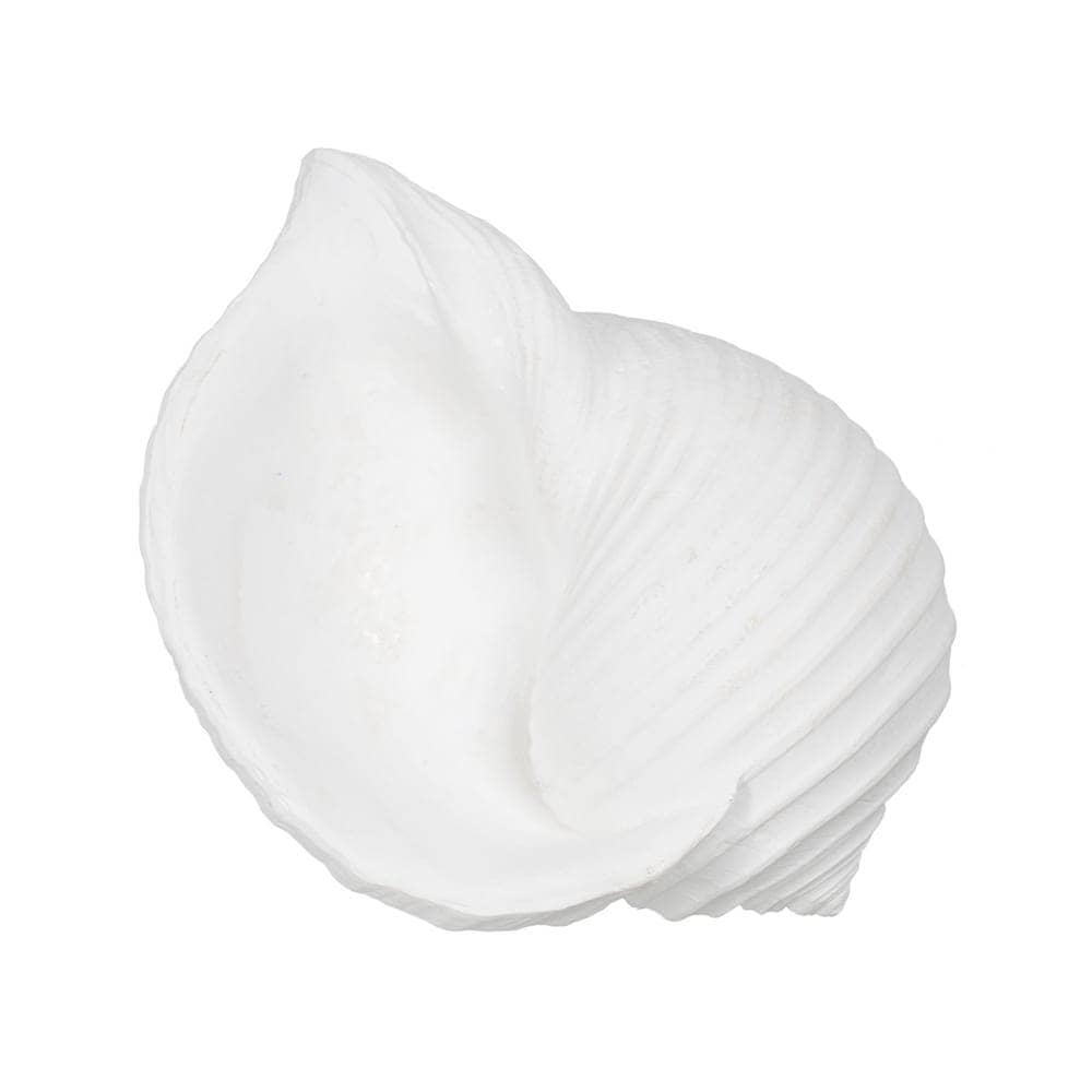 Pack de 2 Figuras de Caracola Blanca de Resina - Decoración Marítima de 9 cm para Hogar y Jardín - Imagen 4